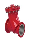 valve