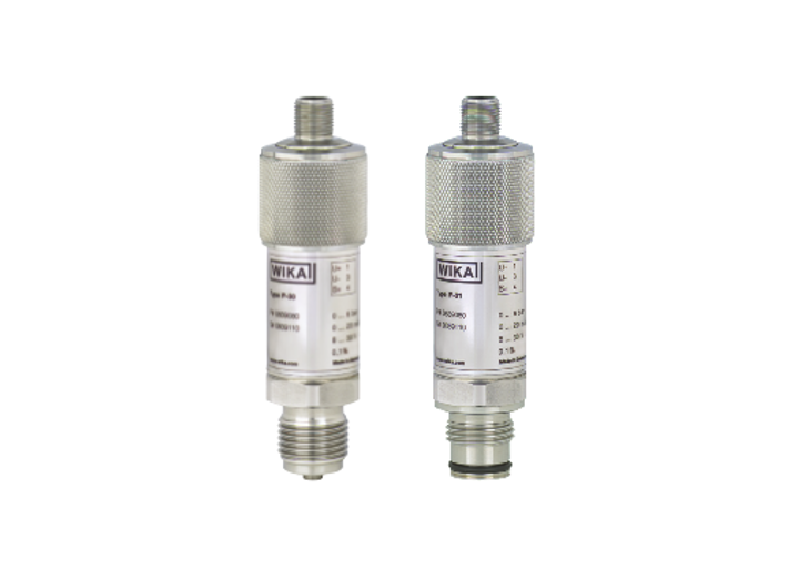 Pressure transmitter for precision measurements Model P 30
                                                standard version Model